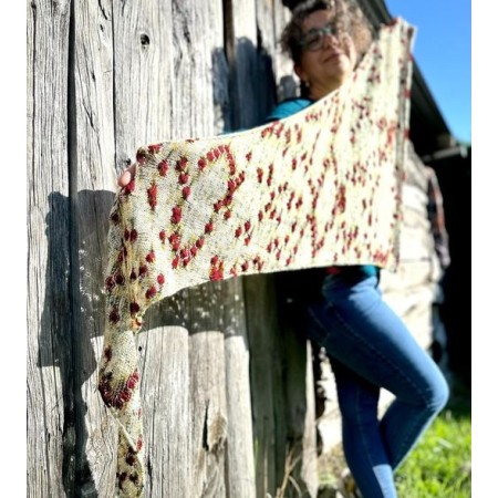 Châle Fleurs la châle tricot