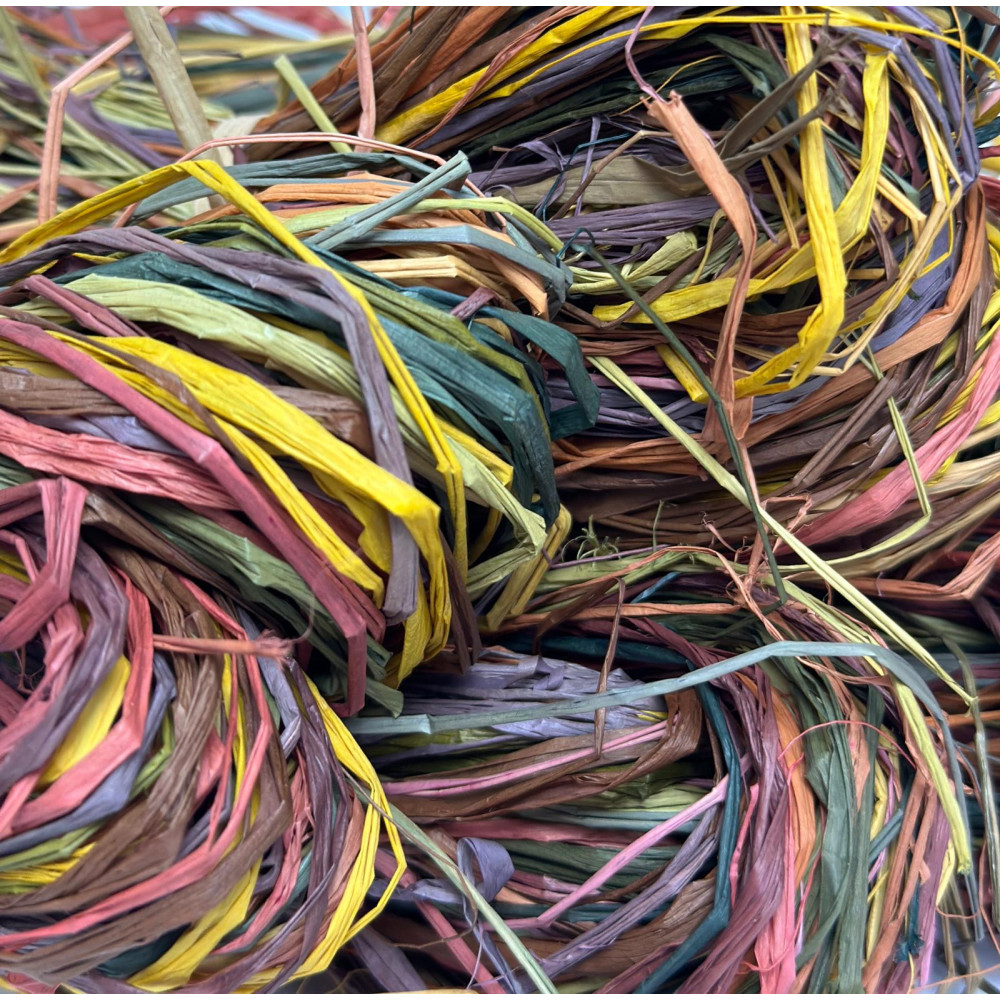 Echeveaux multicolores en Raphia