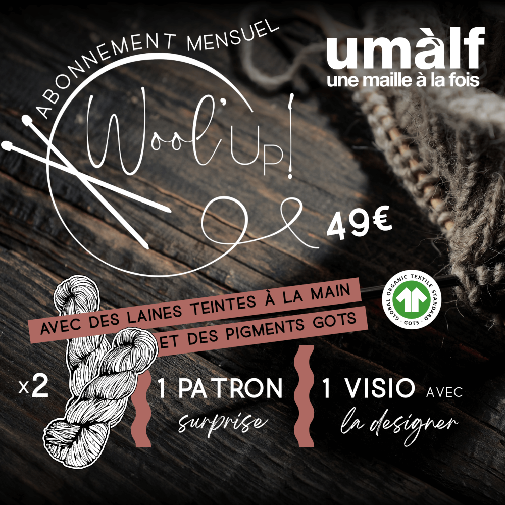 La Box tricot mensuelle avec  2 écheveaux, un patron exclusif et un tricothé en visio  – Wool Up