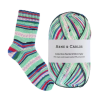 Collection Chaussettes