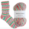 Collection Chaussettes