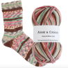 Collection Chaussettes