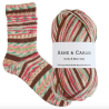Collection Chaussettes