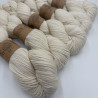 Collection semi ombrée Worsted Baby Alpaga