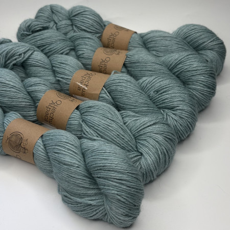 Collection semi ombrée Worsted Baby Alpaga