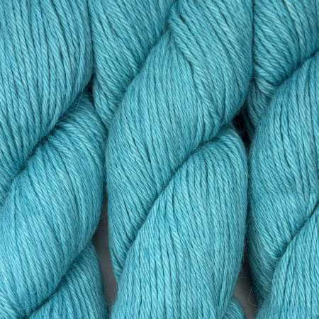 Collection semi ombrée Worsted Baby Alpaga