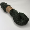 Collection semi ombrée Worsted Baby Alpaga