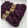 Collection semi ombrée Worsted Baby Alpaga