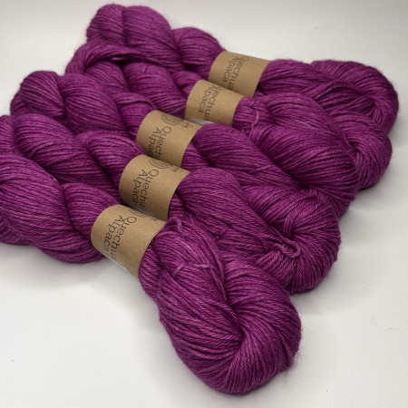 Collection semi ombrée Worsted Baby Alpaga