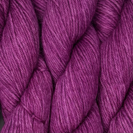 Collection semi ombrée Worsted Baby Alpaga