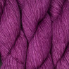 Collection semi ombrée Worsted Baby Alpaga