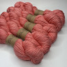 Collection semi ombrée Worsted Baby Alpaga
