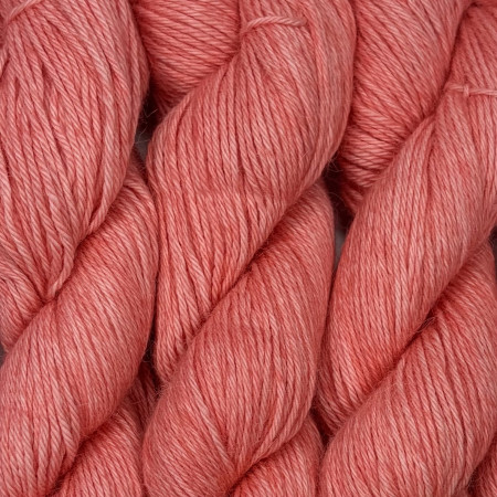 Collection semi ombrée Worsted Baby Alpaga