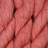 Collection semi ombrée Worsted Baby Alpaga